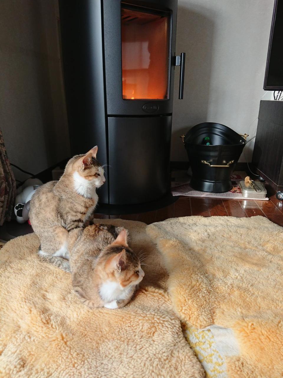 Guesthouse Gifu Suai Bagian luar foto
